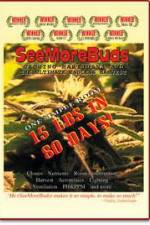 Watch SeeMoreBuds: Vol. 1 Movie2k