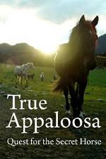 Watch True Appaloosa Movie2k