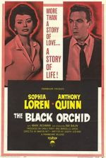Watch The Black Orchid Movie2k