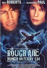 Watch Rough Air: Danger on Flight 534 Movie2k