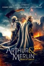 Watch Arthur & Merlin: Knights of Camelot Movie2k