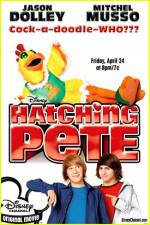 Watch Hatching Pete Movie2k