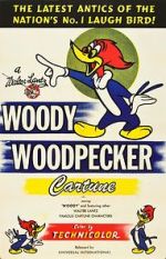 Watch The Woody Woodpecker Polka Movie2k