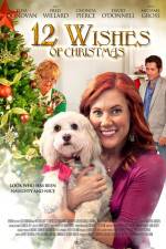 Watch 12 Wishes of Christmas Movie2k