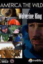 Watch National Geographic Wild America the Wild Wolverine King Movie2k