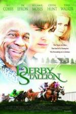 Watch The Derby Stallion Movie2k