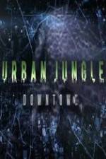 Watch National Geographic Wild Urban Jungle Downtown Movie2k