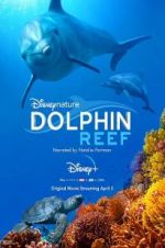 Watch Dolphin Reef Movie2k