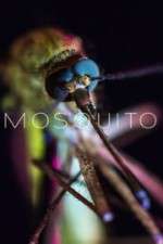 Watch Mosquito Movie2k