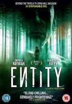 Watch Entity Movie2k