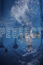 Watch Perfect Movie2k