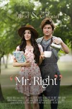 Watch Mr. Right Movie2k