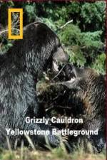 Watch National Geographic Grizzly Cauldron Movie2k