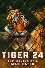 Watch Tiger 24 Movie2k