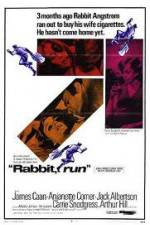 Watch Rabbit Run Movie2k