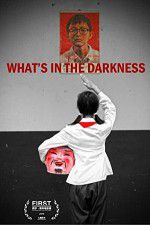 Watch What\'s in the Darkness Movie2k