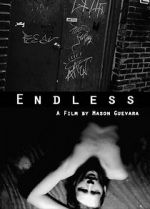 Watch The Endless Movie2k