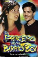 Watch The Princess & the Barrio Boy Movie2k