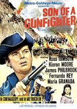 Watch Son of a Gunfighter Movie2k