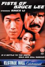 Watch Fists of Bruce Lee Movie2k