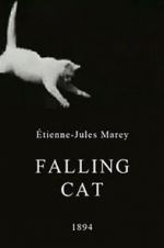 Watch Falling Cat Movie2k