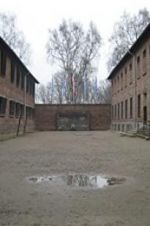 Watch Made in Auschwitz: The Untold Story of Block 10 Movie2k