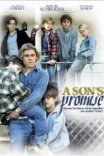 Watch A Son's Promise Movie2k