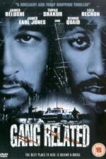 Watch Gang Related Movie2k