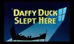 Watch Daffy Duck Slept Here (Short 1948) Movie2k