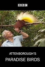 Watch Attenborough's Paradise Birds Movie2k