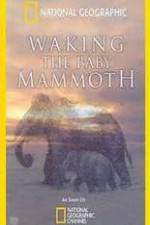 Watch Waking the Baby Mammoth Movie2k