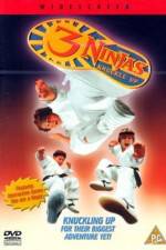 Watch 3 Ninjas Knuckle Up Movie2k