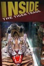 Watch Inside: The Tiger Trade Movie2k