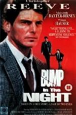 Watch Bump in the Night Movie2k