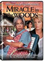 Watch Miracle in the Woods Movie2k