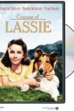 Watch Courage of Lassie Movie2k