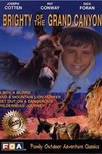 Watch Brighty of the Grand Canyon Movie2k