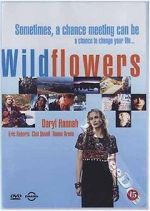 Watch Wildflowers 0123movies