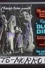 Watch The Blue Bird Movie2k