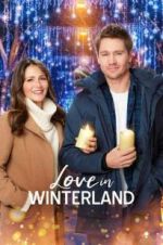 Watch Love in Winterland Movie2k