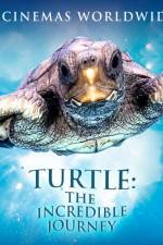 Watch Turtle The Incredible Journey Movie2k
