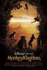 Watch Monkey Kingdom Movie2k