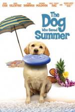 Watch The Dog Who Saved Summer Movie2k