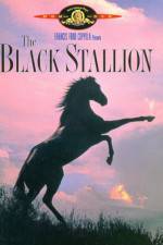 Watch The Black Stallion Movie2k