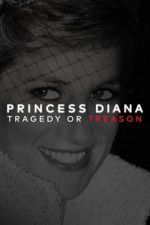 Watch Princess Diana: Tragedy or Treason? Movie2k