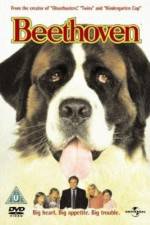 Watch Beethoven Movie2k