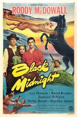 Watch Black Midnight Movie2k