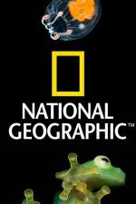 Watch National Geographic Wild Dam Beavers Movie2k