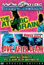 Watch Love After Death Movie2k