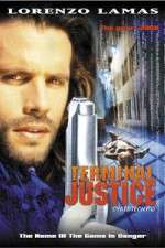 Watch Terminal Justice Movie2k